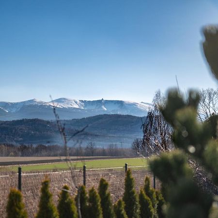 Domki W Karkonoszach Szmaragdowy Widok Wojcieszyce 外观 照片